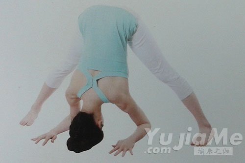 叭喇狗