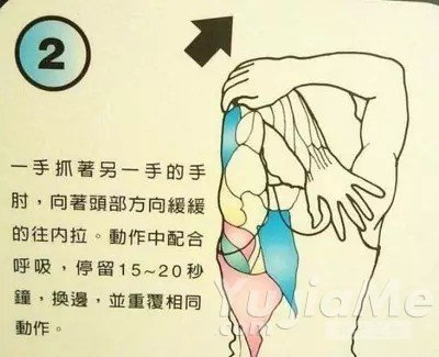 什么是筋缩?