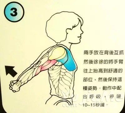人为什么会筋缩?