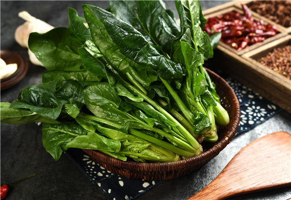 贫血吃什么好沐鸣注册