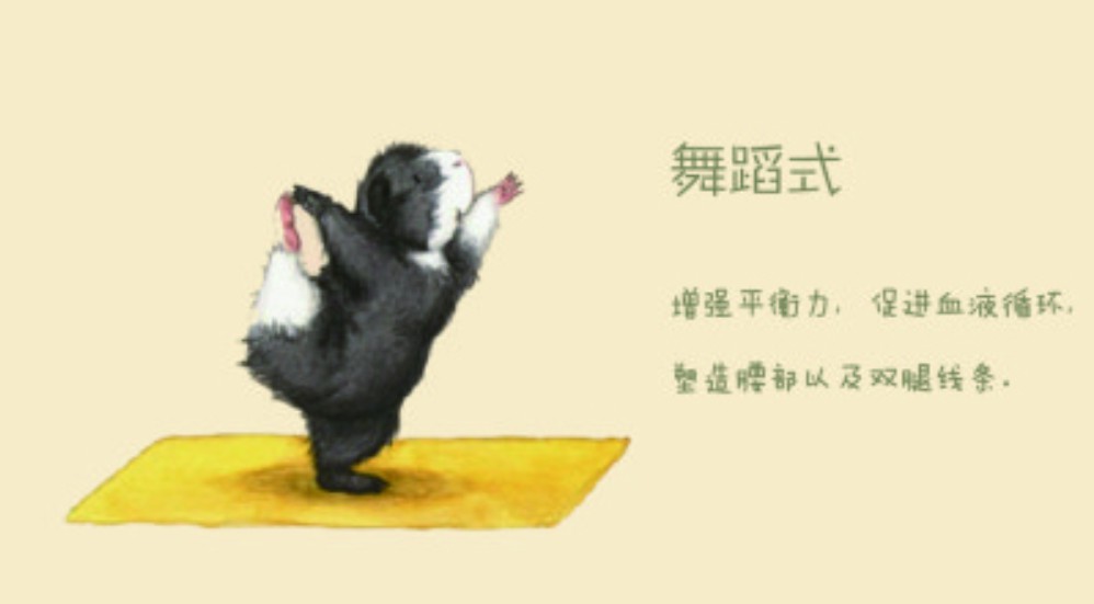 8个动物瑜伽体式沐鸣代理注册,可爱到爆!