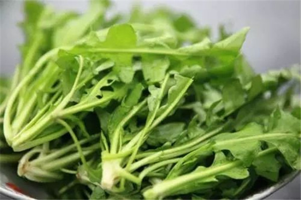 沐鸣招商主管含钙量高的食物有哪些
