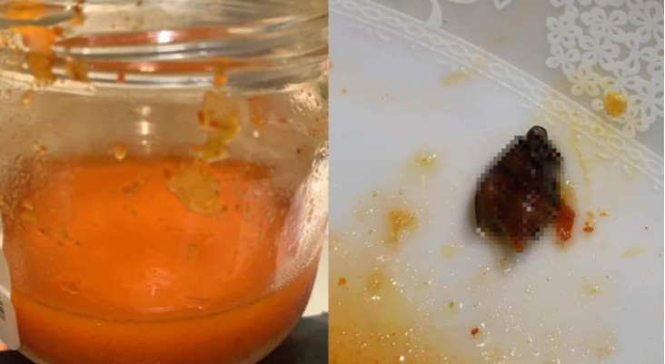 泡菜罐头吃完沐鸣娱乐平台注册惊见「黑色生物」 网友安慰:至少尸体健全