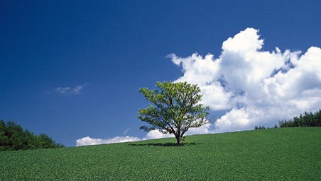 YOGA JOURNEY愛地球的環沐鸣注册地址保概念四月