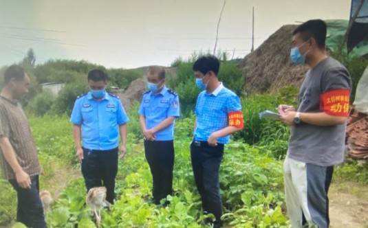 沐鸣娱乐平台注册内蒙古大兴安岭:“手动”孵化的濒危物种白枕鹤长大啦