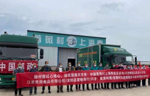 江苏沭阳“网沐鸣登录红村”蔷薇村再出手 20吨蔬菜驰援扬州