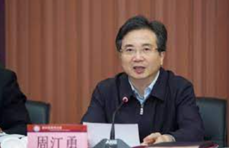 浙江省委原常委周江勇被“双开” 沐鸣代理被指“与资本勾连”“搞家族式腐败”