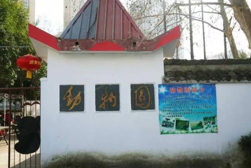 安徽六安市人民公园动物沐鸣注册园面临搬迁;一位八旬老人和他年迈的动物园