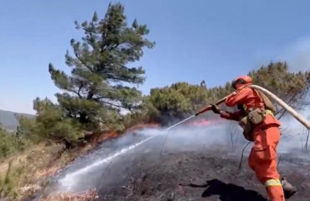沐鸣代理云南玉溪山火部分地段火势有效控制 仍有三条火线