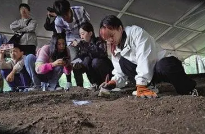 圆明园考古发现翠扶楼两处房屋遗存蓝狮代理